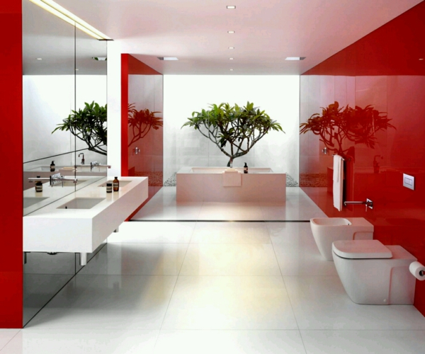 vasque-rectangulaire-baignoire-en-céramique-vasque-flottqnte-un-petit-bonsai