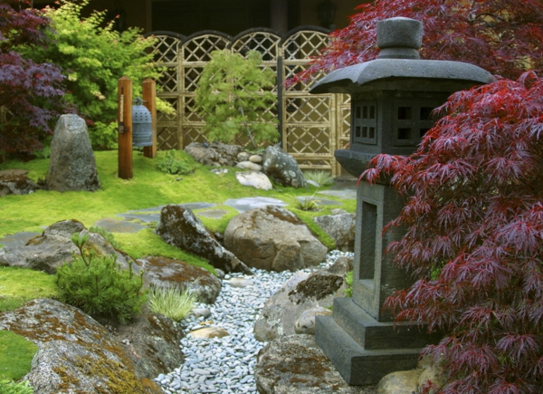 érable-japonais-jardin-zen