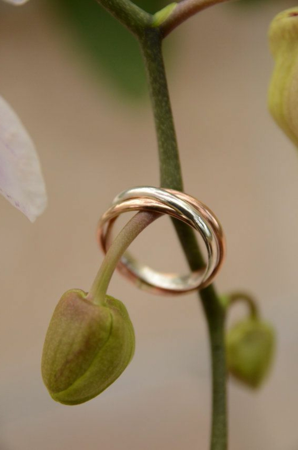 6-Bague-de-mariée-avec-trois-anneaux-plante