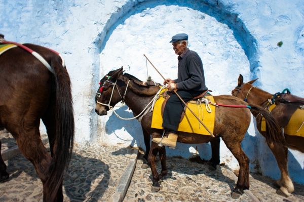 Old_donkeyman_of_Santorini_Mule_Path_Santorini_island_(Thira),_Greece_(full_length_portrait)-resized