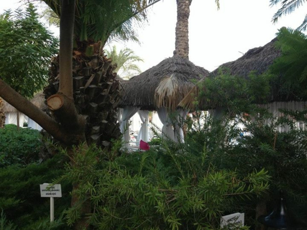 Visite-antalya-palmiers-en-été-plage
