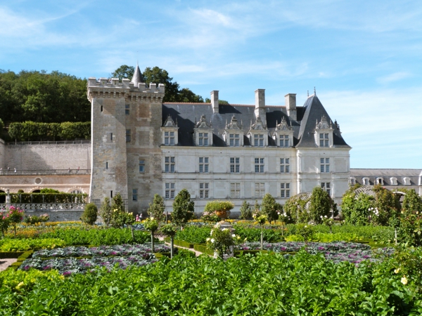 les-châteaux-de-la-Loire-le-potager-de-Villandry