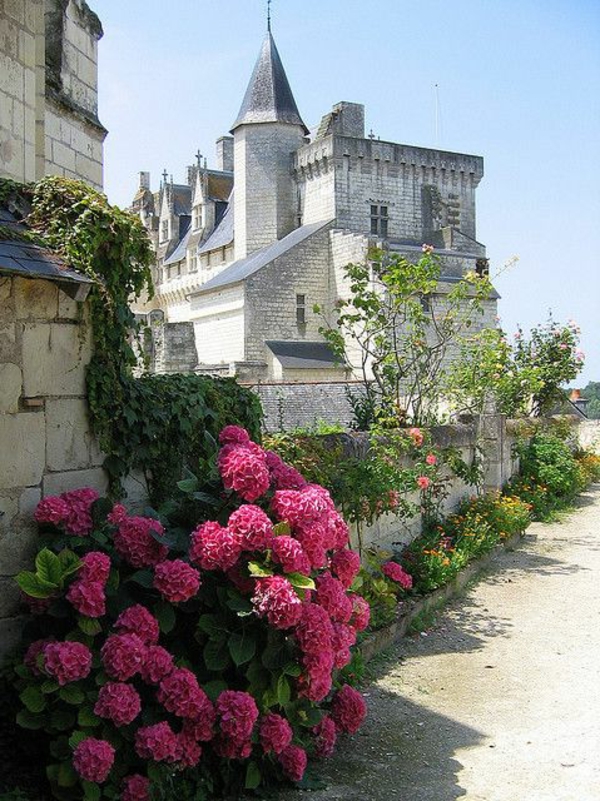 les-châteaux-de-la-Loire-vue-splendide-vers-le-château