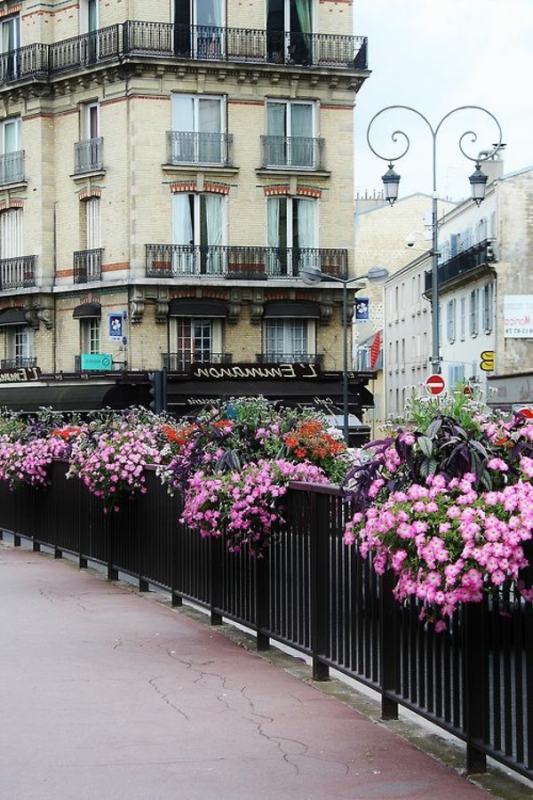 paris-france-rue-fleurs-violet