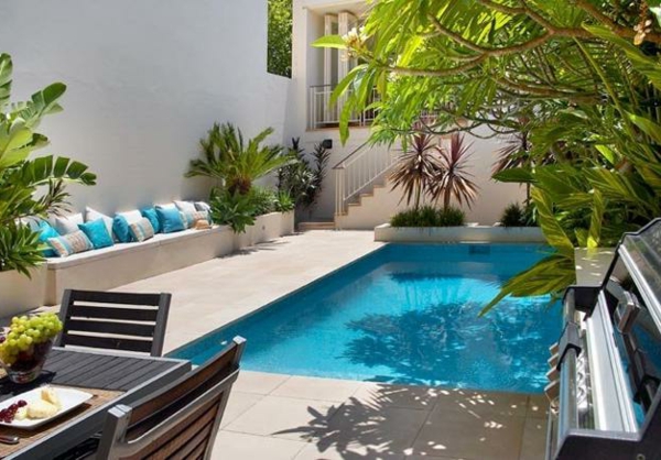 petite-piscine-hors-sol-plantes-tropicales