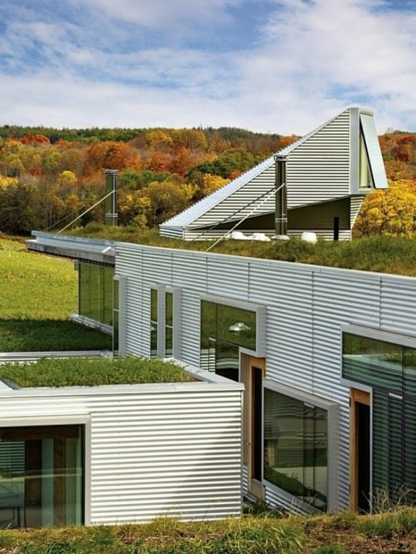Le Toit Vegetal En 77 Photos Archzine Fr Toit Vegetal Comment Amenager Son Jardin Architecture