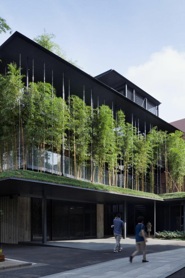 toit-végétal-idées-uniques-d'architecture-verte