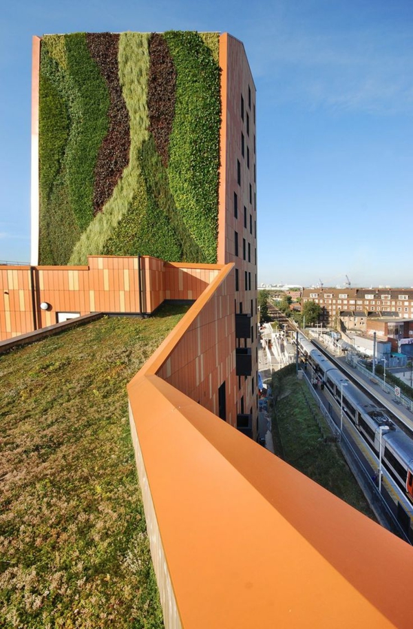 toit-végétal-l'architecture-verte-dans-les-cités