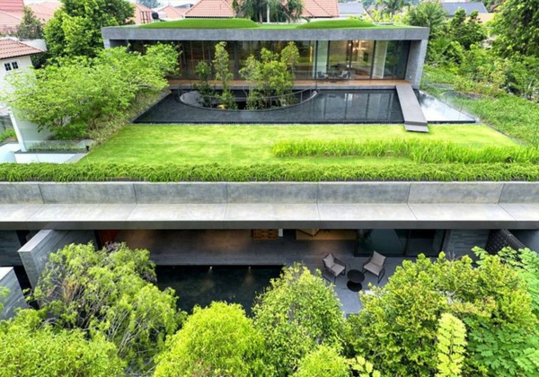 toit-végétal-maison-moderne-en-béton-avec-le-toit-végétalisé