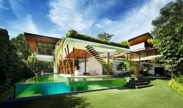 toit-végétal-maison-moderne-piscine-spectaculaire