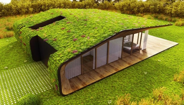 toit-végétal-unique-maison-à-toiture-verte