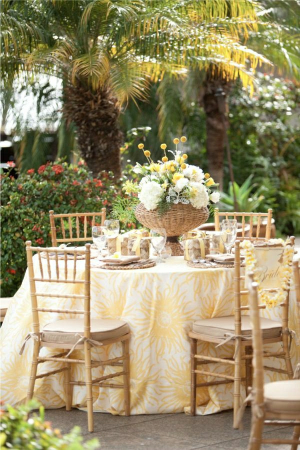 1-nappe-jaune-blanche-chaises-en-bois-table-de-jardin-arbres-nature