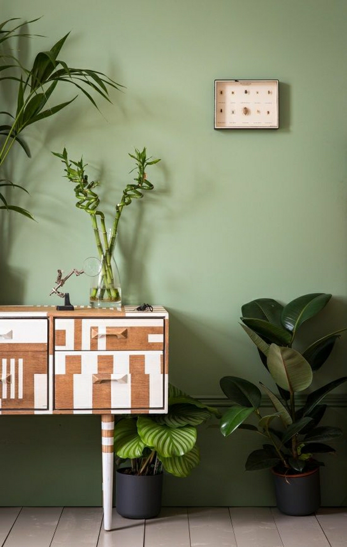 1-plantes-vertes-petit-meuble-d-entrée-sol-planchers-beige-murs-verts-meuble-en-bois