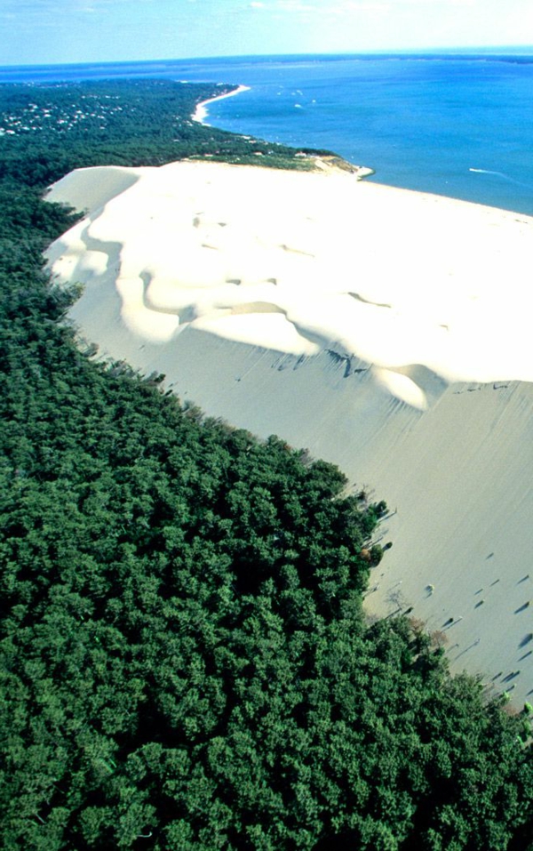 la-dune-du-pilat-la-falaise-du-côté-de-la-forêt