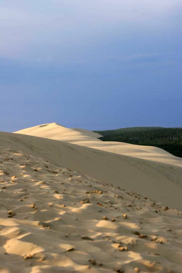 la-dune-du-pilat-paysage-magnifique