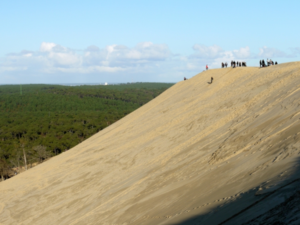 la-dune-du-pilat-une-falaise-de-sable