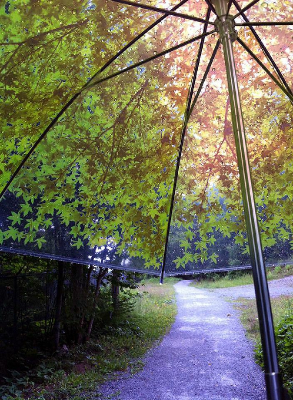 parapluie-transparent-aux-feuilles-verts