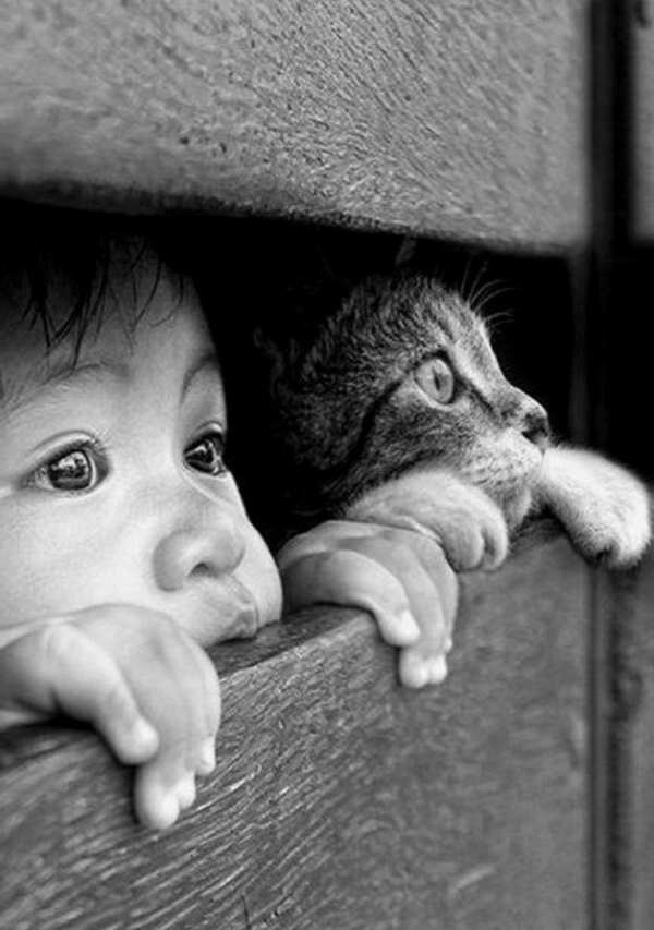 une-photographie-artistique-en-noir-et-blanc-chat-et-enfant