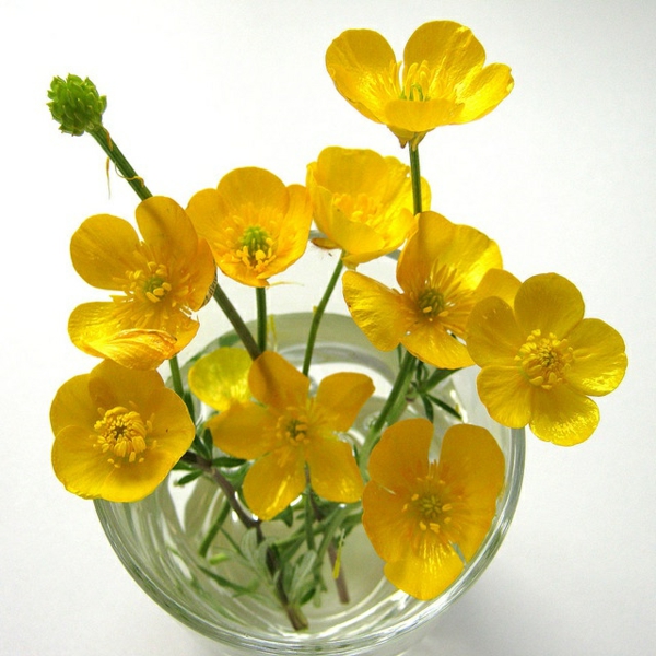 vase-boule-fleurs-jaunes
