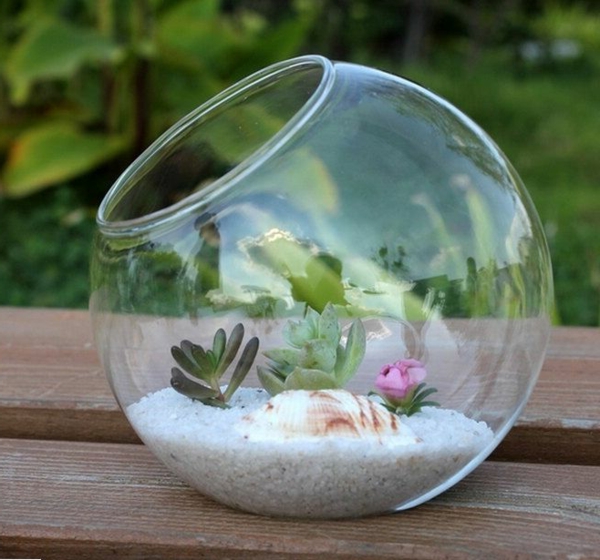 vase-boule-un-petit-terrarium-arrangé