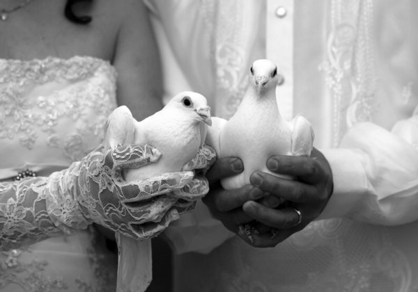 vintage-mariage-oiseaux-blanc-idée-photo-noir-et-blanc