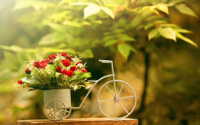 pot-de-fleur-exterieur-poterie-extérieur-petite-bicyclette-fleurs-rouges