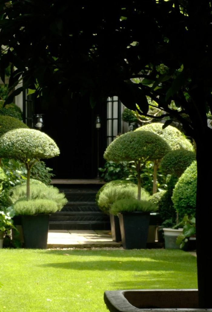 jardin-paysager-bonzais-en-pots-de-fleurs