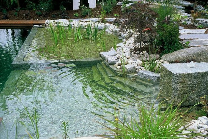 piscine-biologique-arrangée-et-zones-séparées
