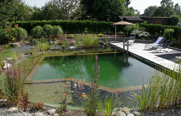 piscine-biologique-design-original