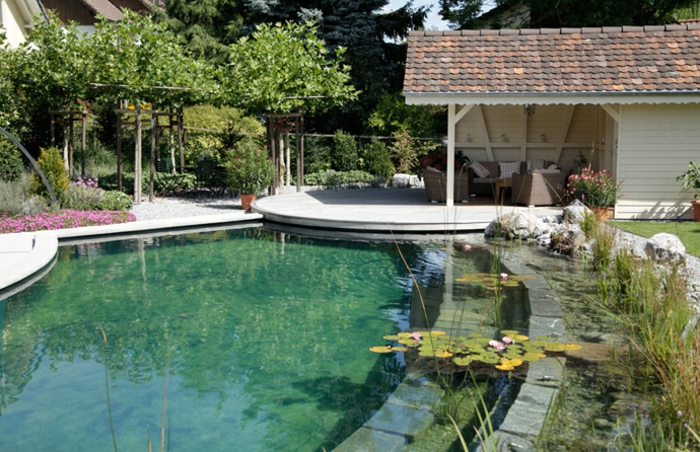 piscine-biologique-devant-une-petite-villa-blanche