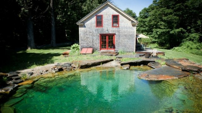 piscine-biologique-devant-une-petite-villa-sympathique