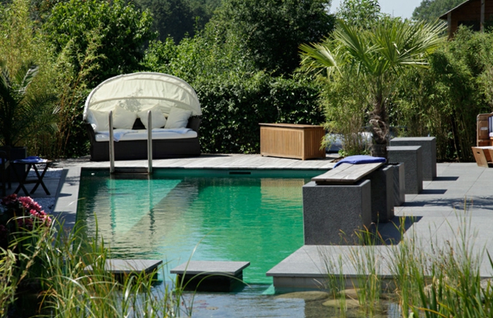 piscine-biologique-et-un-beau-jardin-aquatique