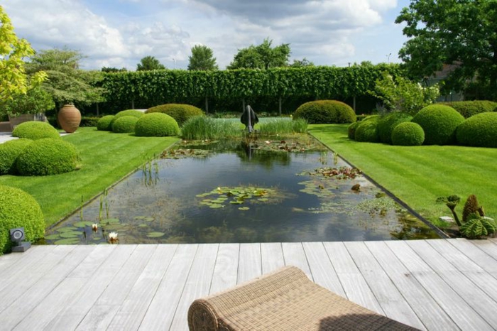 piscine-biologique-et-une-pelouse-verte-magnifique