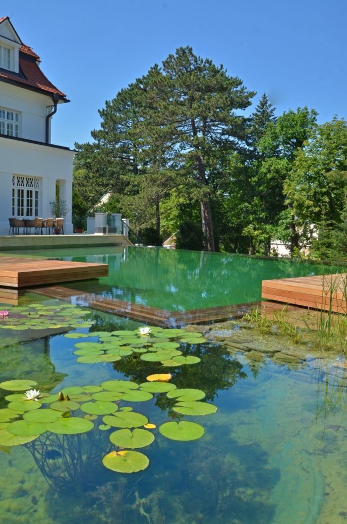 piscine-biologique-grand-bassin-biologique