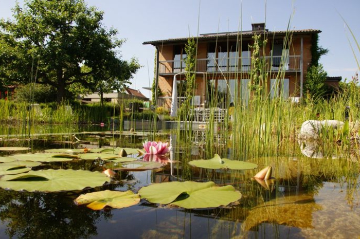 piscine-biologique-le-paysage-devant-votre-demeure