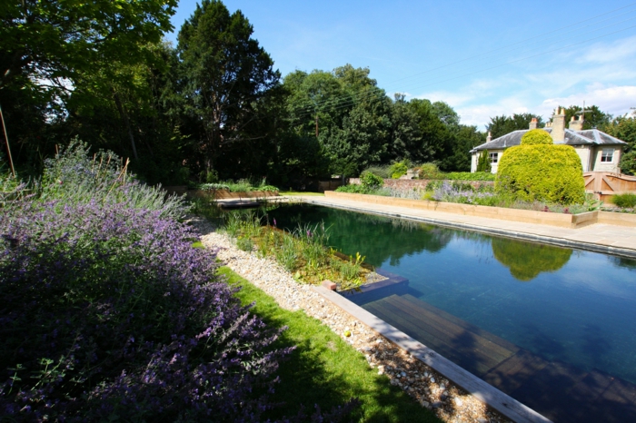 piscine-biologique-l'eau-pure-des-piscines-vivantes