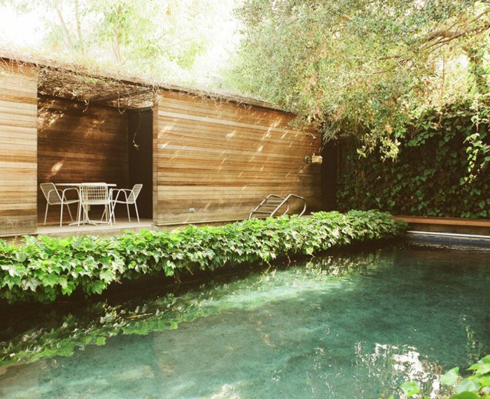 piscine-biologique-miraculeuse-et-bulgalow-en-bois