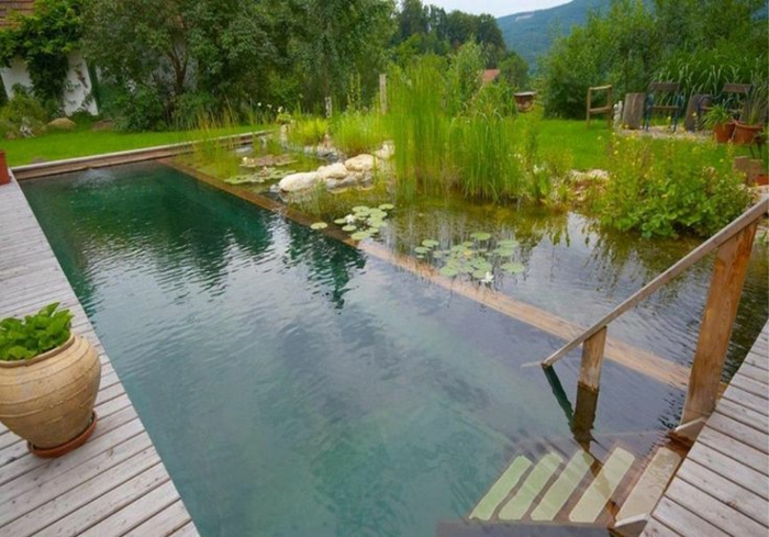 piscine-biologique-munie-d'escalier-en-bois