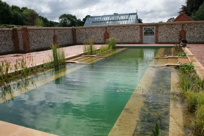 piscine-biologique-originale-pour-une-grande-cour