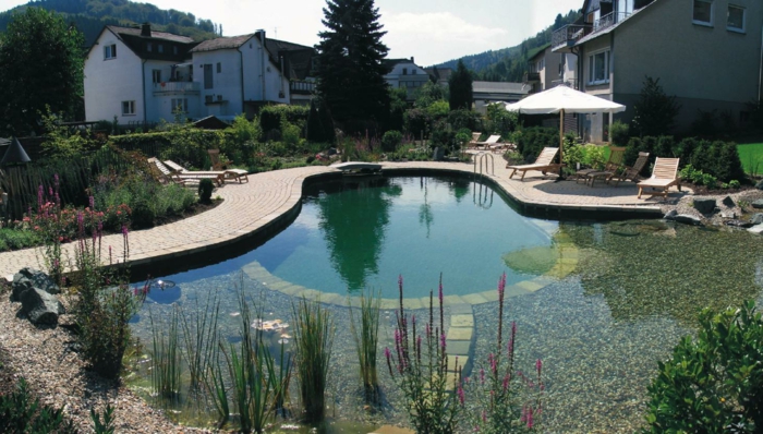 piscine-biologique-pavement-allée-de-jardin