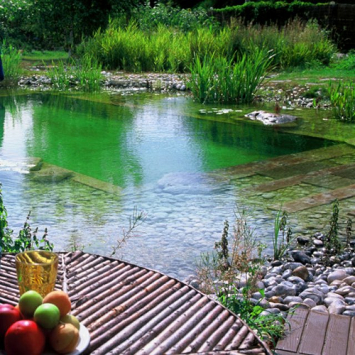 piscine-biologique-piscines-organiques-jolies