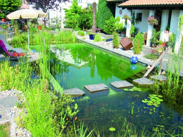 piscine-biologique-plonger-dans-le-paradis-aquatique