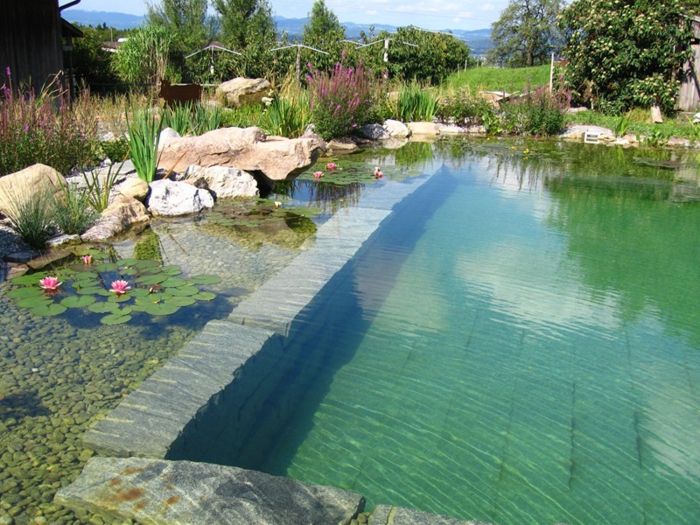 piscine-biologique-pour-votre-beau-jardin-aquatique