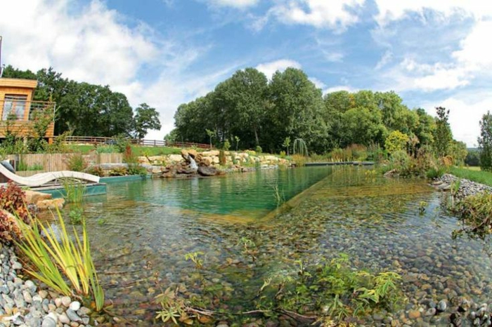 piscine-biologique-une-grande-zone-de-régénération