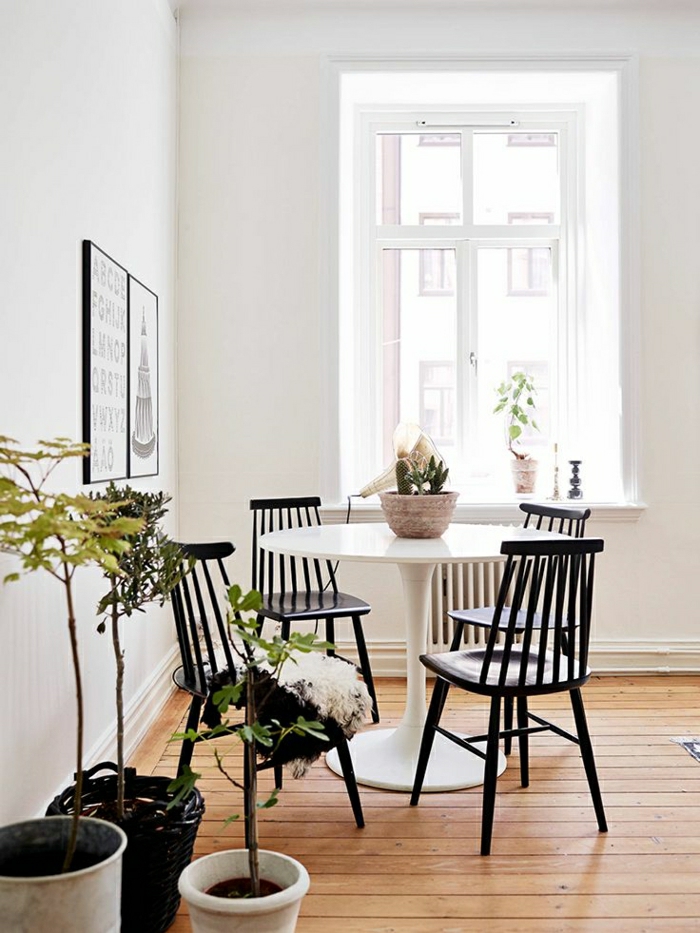 plancher-en-bois-table-plastique-chaises-en-bois-foncé-mur-blanc-peinture-murale