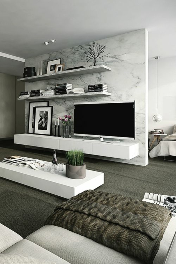 étagère-blanc-mur-motifs-imprimés-meubles-basse-en-bois-salon-blanc-gris-plante-verte