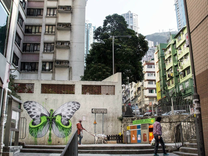 ludo street art  urbain-pochoiriste-ludo-japon-rue-papillon-libre