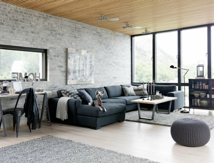 Idée-intérieur-design-industriel-style-canapé-confortable