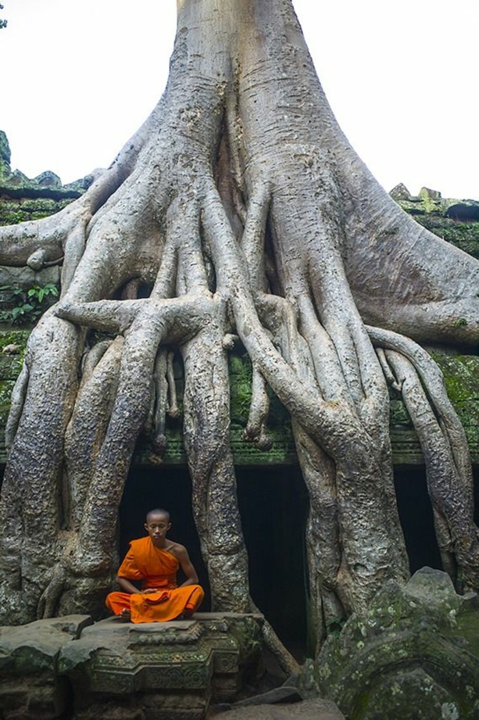 Pêle-mêle...  - Page 19 Architecture-vernaculaire-mystique-et-histoire-%C3%A0-Cambodge