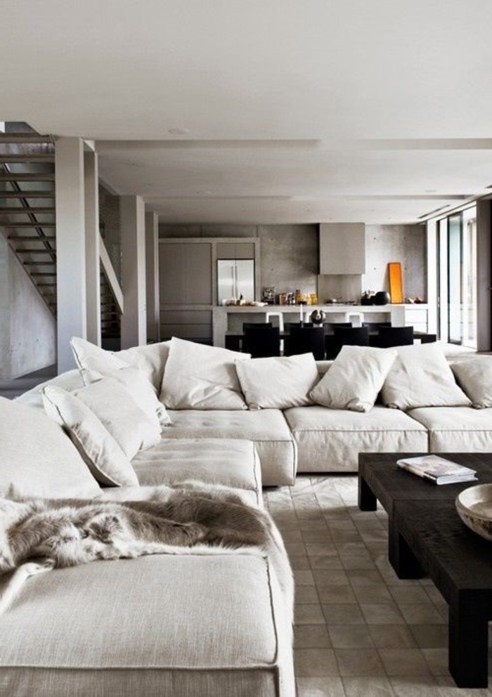 canapé-gris-coussins-décoratifs-meubles-scandinaves-interieur-scandinave-moderne